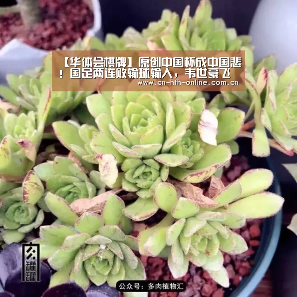 【华体会棋牌】原创中国杯成中国悲！国足两连败输球输人，韦世豪飞铲废人成过街老鼠(图3)