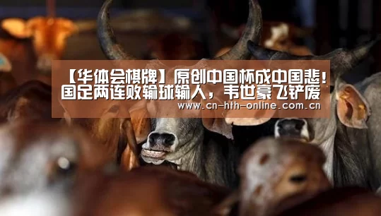 华体会棋牌官网