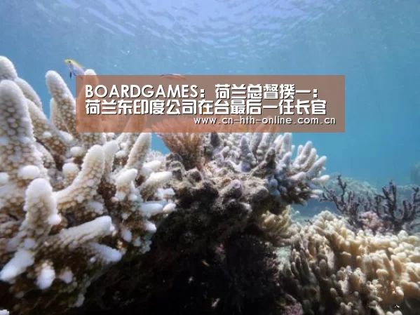 BOARDGAMES：荷兰总督揆一：荷兰东印度公司在台最后一任长官(图3)